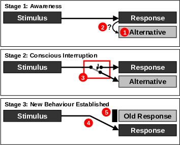 Shunt technique for changing habits and behaviors