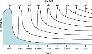 Forgetting curve - memory retention over time