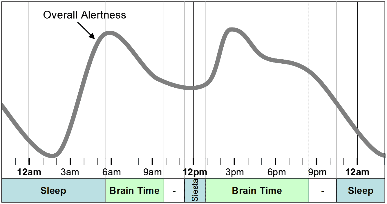 Circadian Rhythms